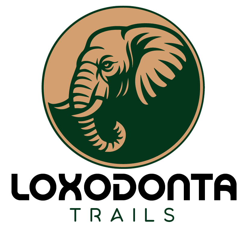 logo-image